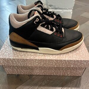 Air Jordan 3 retro